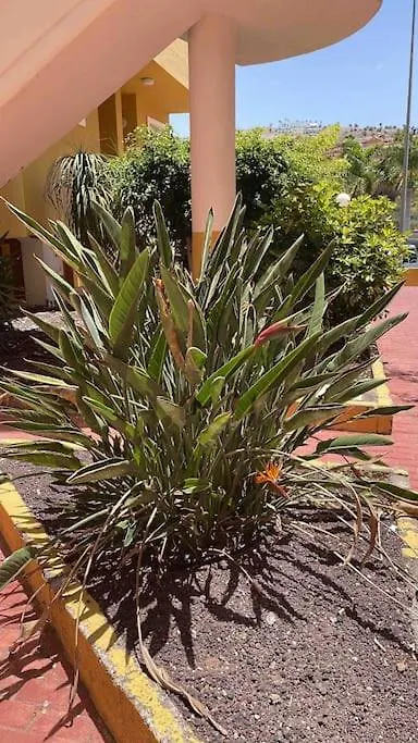 Costa Adeje, 2 Bedrooms Apartment Spanien